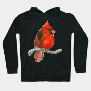 Cardinal bird Hoodie